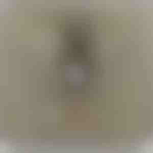 No tēva meitai | LEONA