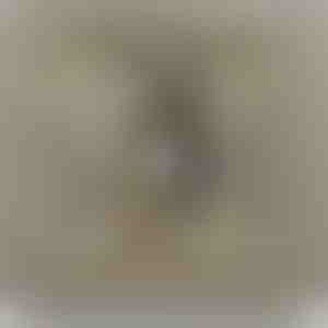 No vecākiem meitai | NAMI