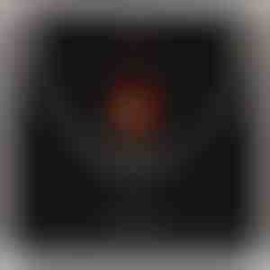 No partneres partnerim | RAFAEL