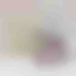 No mātes meitai | AIDEN_SUNFLOWER