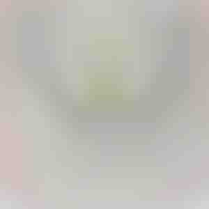 No mazbērniem vectēvam | LANCE