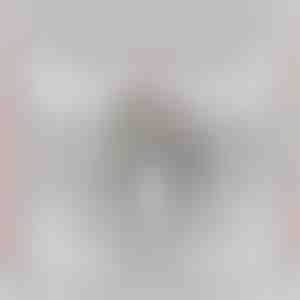 No drauga draudzenei | SHILOH