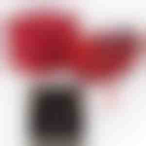 No vīra sievai | ALAYA_CLOVERIE_APPLEROSE