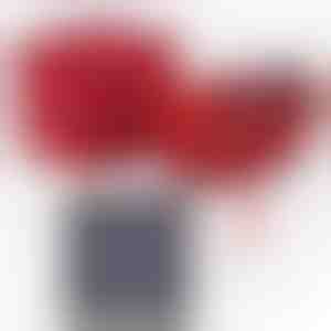 No drauga draudzenei | GRACE_CLOVERIE_APPLEROSE