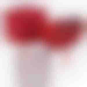 No vecmāmiņas mazmeitai | NOA_CLOVERIE_APPLEROSE