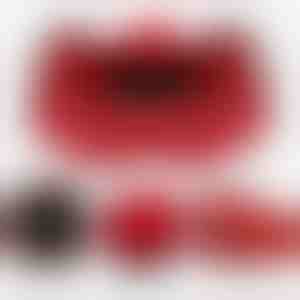 Kaklarota dāvanu kastītē | HEARTS_APPLEROSE