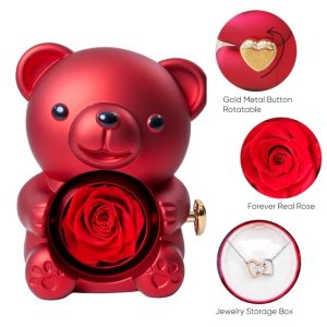 HEARTS kaklarota un rotājoša lāča rotaslietu kaste | HEARTS_ROSBEAR