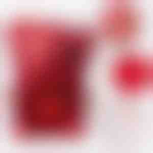 HEARTS kaklarota un rotājoša lāča rotaslietu kaste | HEARTS_ROSBEAR