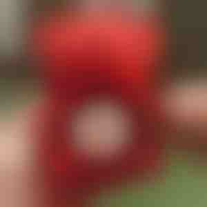 Clover kaklarota 2 in 1 un rotējoša lāča rotaslietu kaste | CLOVERIE_ROSBEAR