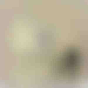 No tēva meitai | QUINN